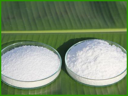 Palmitic Acid