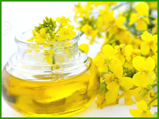 Distilled Rapeseed Fatty Acid