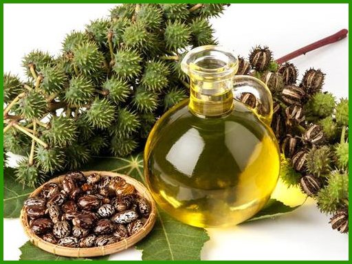 Refined Castor Oil First Special Grade (FSG)
